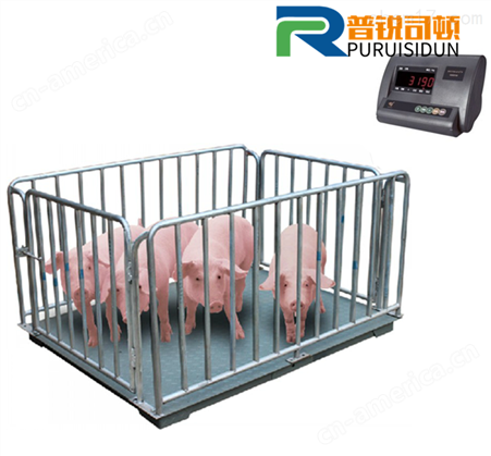 称猪一吨带围栏地磅价格