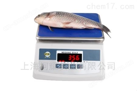 六安300公斤防水电子磅耀华电子秤