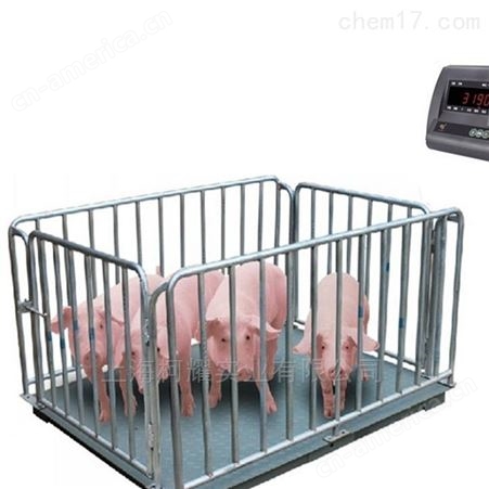 围栏电子磅标配高度1m耀华牲畜电子地磅秤5T