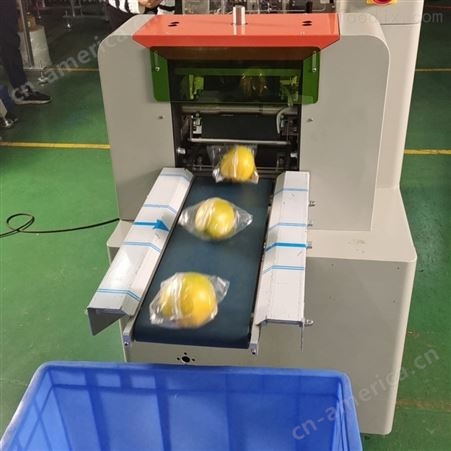 双胞胎柠檬包装机生产