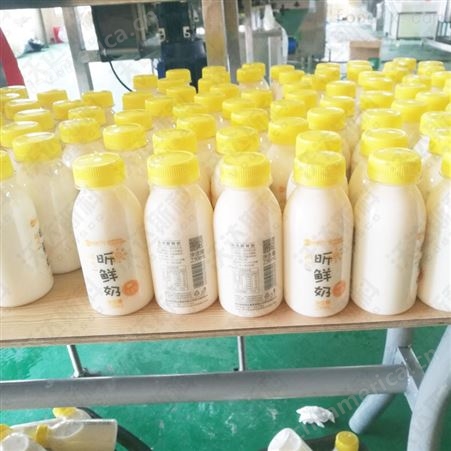 新疆酸奶加工设备