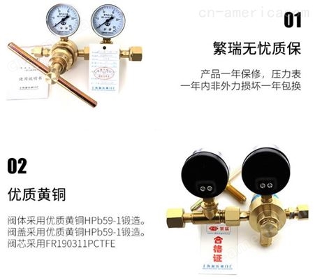 上海减压 YQDG-10 高压全铜瓶用氮气减压器 调节表 减压阀