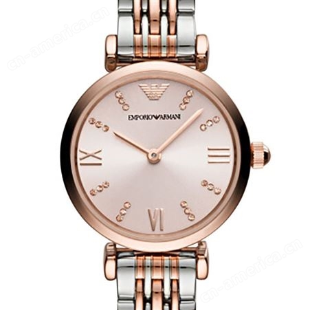 阿玛尼(Emporio Armani) 时尚小表盘女士腕表手表AR11223