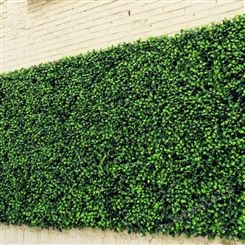 仿真植物植物墙 绿植销售公司 室内墙绿化植物种类丰富 防晒/阻燃