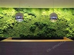 西安绿植墙 室内办公绿植 植物墙垂直绿化 绿植墙体