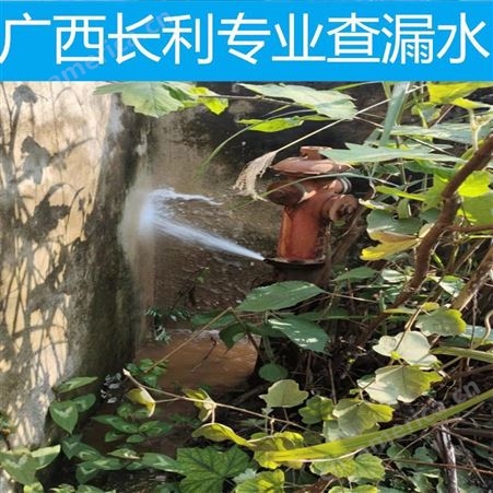 河池环江管道漏水探测技术 小区管道漏水检测