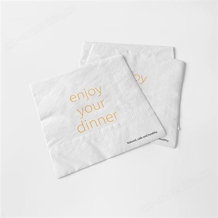 YJ029餐厅饭店一次性餐巾纸多方面展示样机VI智能贴图PSD分层样机
