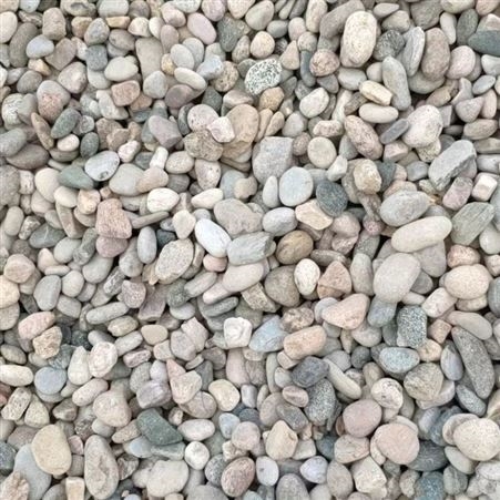 厂家批发 鹅卵石 天然多规格鹅 卵石 园林铺路彩色石子 东石矿产