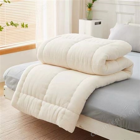应急棉胎定制厂家批发棉被芯手工纯棉枕芯枕套