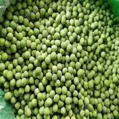 速冻青豆粒加工 脱水果蔬生产 蔬菜沙粒轻食配料 产地直供