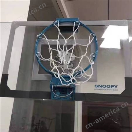 家庭儿童玩具 晶康牌篮球架篮球板篮筐篮球 室内环保材料 成人孩子都可以玩 娱乐健身