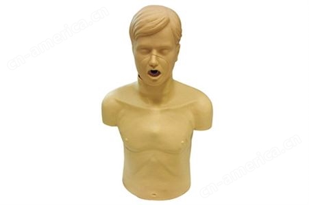 TG/CPR184成人半身胸外按压模型