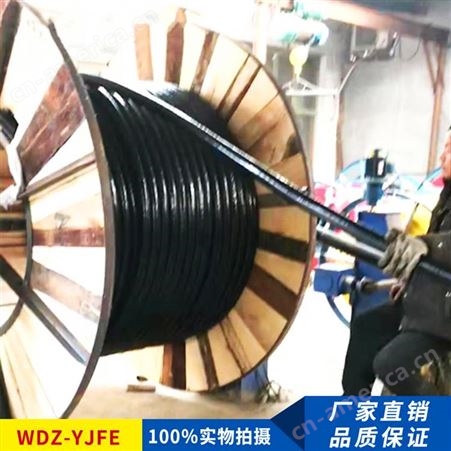 铜芯电力电缆WDZ-YJY/YJFE低烟无卤2/3/4/5芯环保电缆