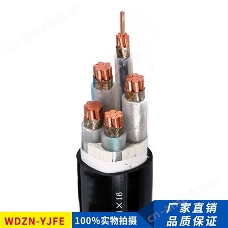 WDZN-YJFE低烟无卤耐火电缆铜芯电力电缆WDZN-YJY/YJFE低烟无卤耐火电缆2/3/4/5芯环保电缆