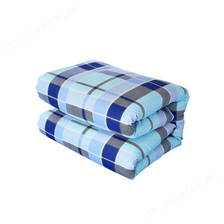 专为学生宿舍设计的新疆棉被 柔软舒适 可拆洗蓬松柔软 带被套