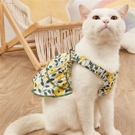 服装猫咪衣服春夏季薄款舒适连衣裙向日葵宠物吊带裙厂家