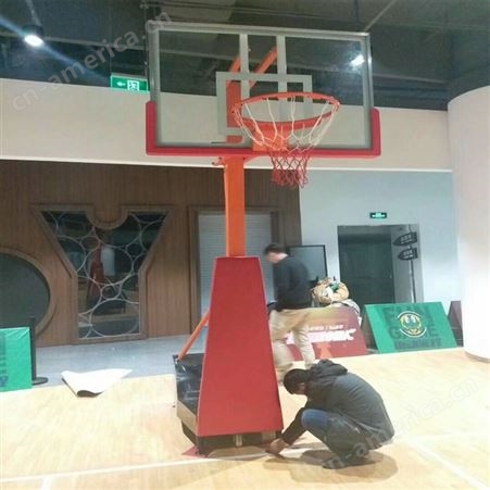 龙泰 家用篮球架 移动升降儿童篮球架 简易篮球架 篮球架厂家