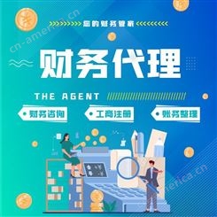 上海青氧 代理记账 税务申报 财务咨询