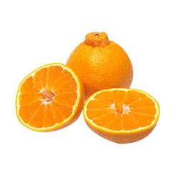 不知火丑橘丑八怪橘子孕妇新鲜水果耙耙柑蜜桔子柑橘丑桔3/5/10斤